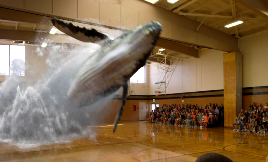 Magic Leap Splash