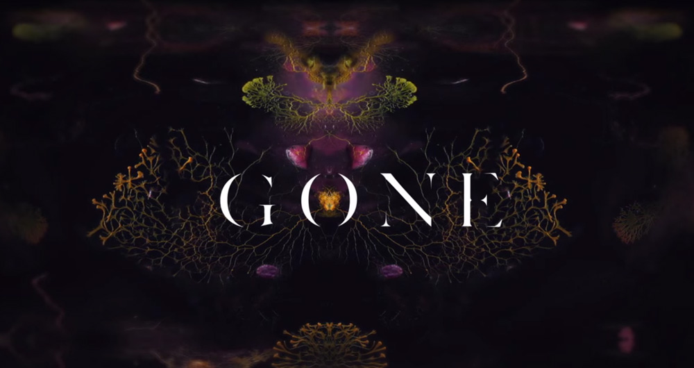Gone-Milk-VR-Walking-Dead-Skybound-WEVR-Samsung