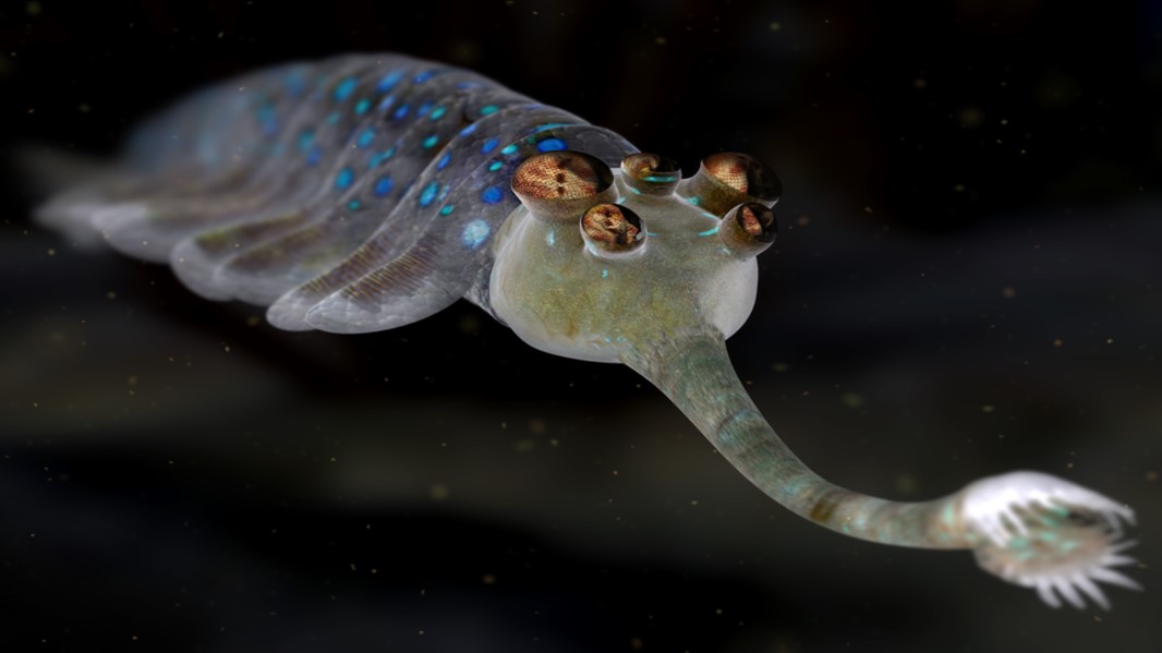 CGI recreation of Opabinia from David Attenboroughs First Life VR (c) Alchemy VR