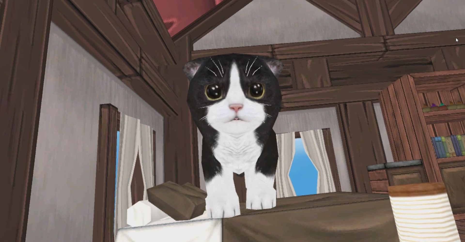 5 VR Apps For Cat Lovers International Cat Day