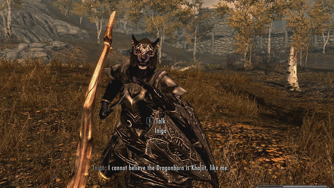 khajit inigo elder scrolls skyrim