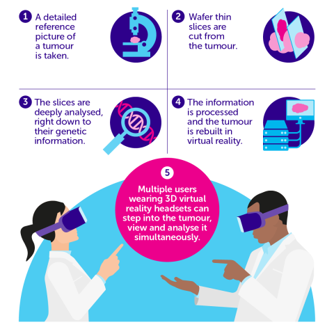 vr tumour visualization