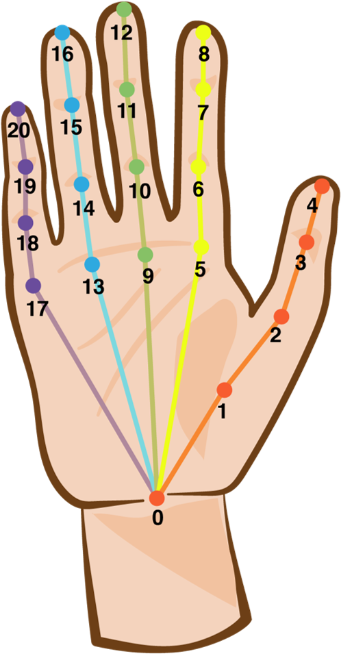 vive finger tracking skeleton