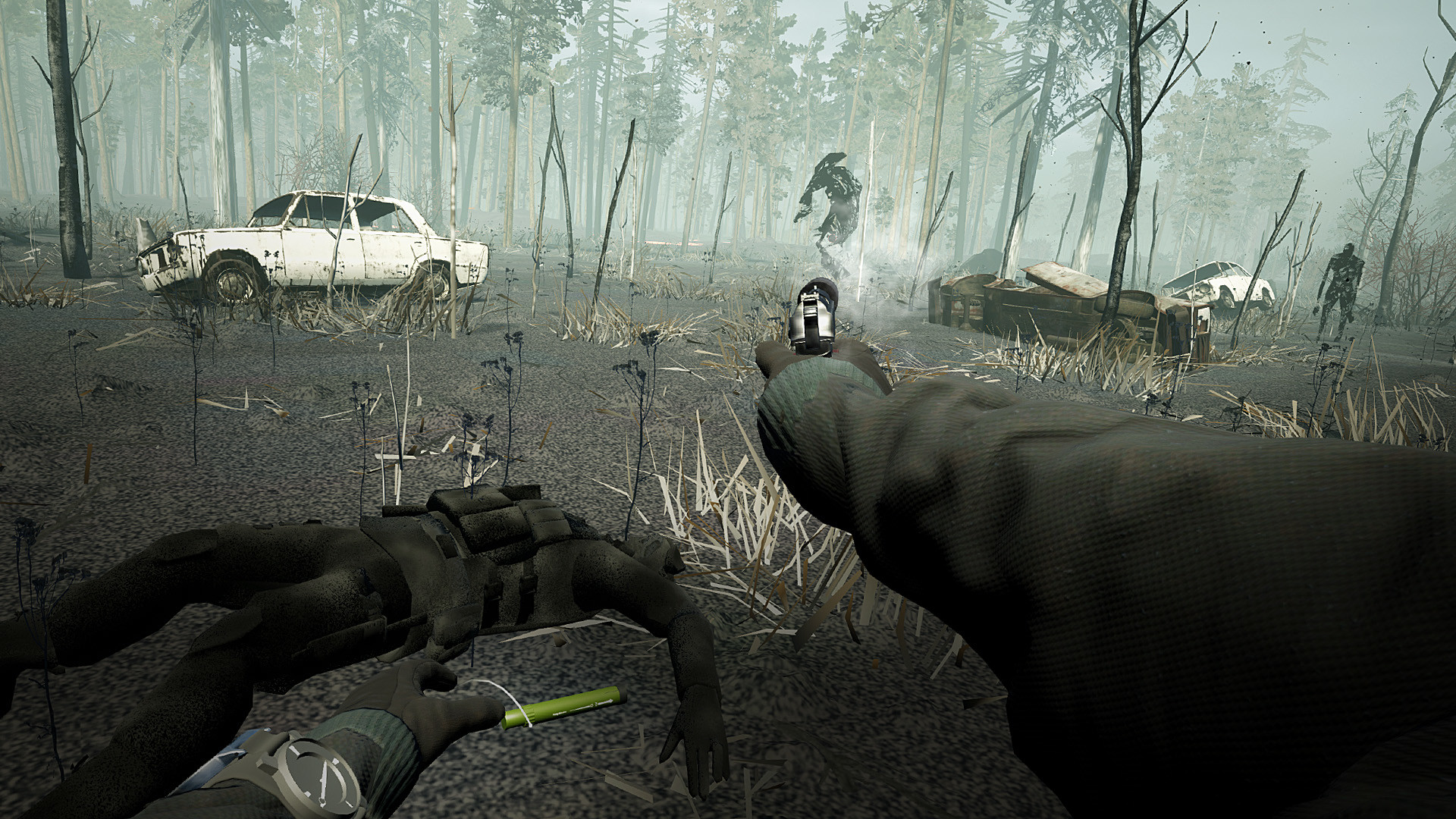 into the radius swamp gun