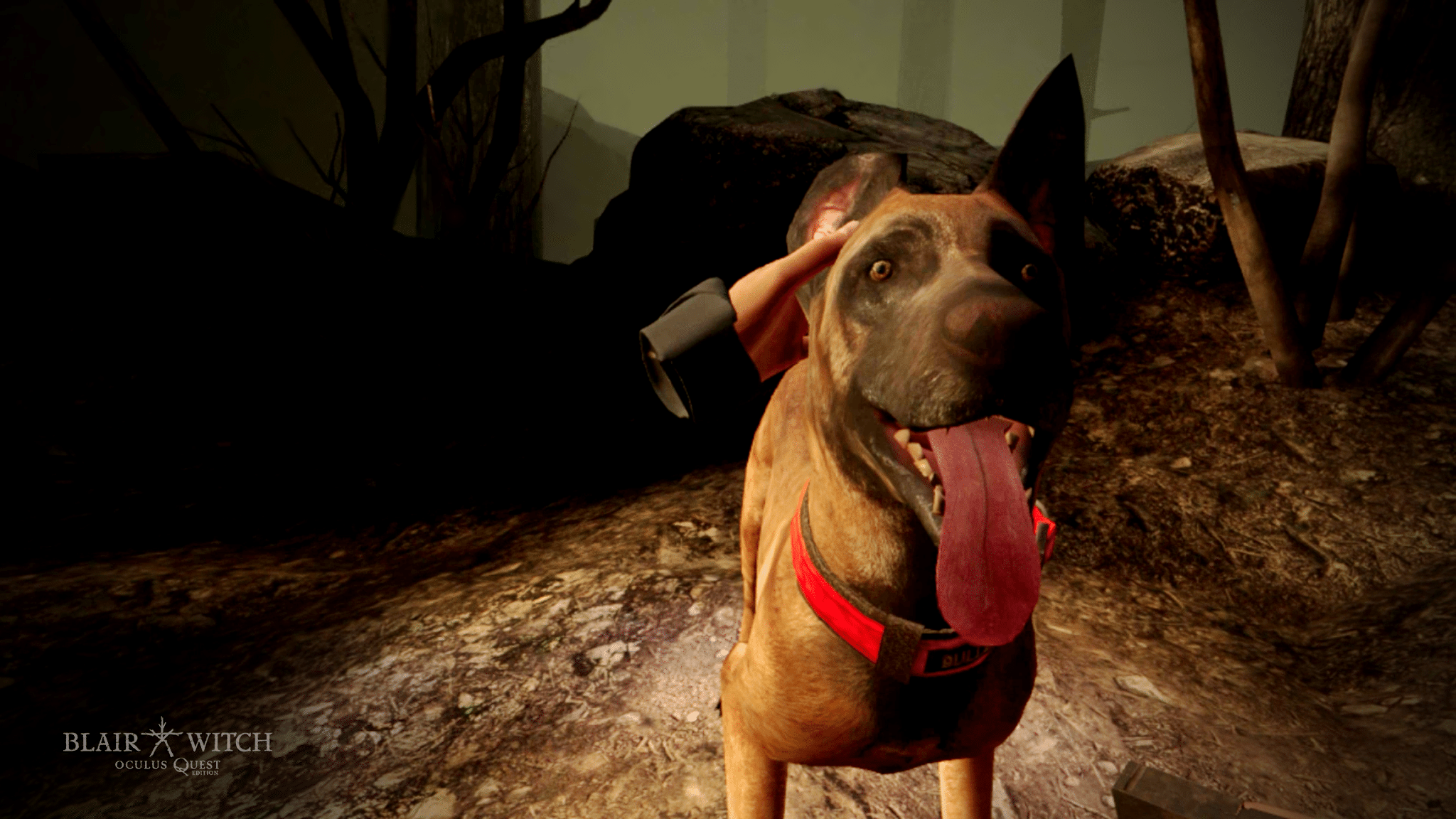 blair witch vr petting the dog