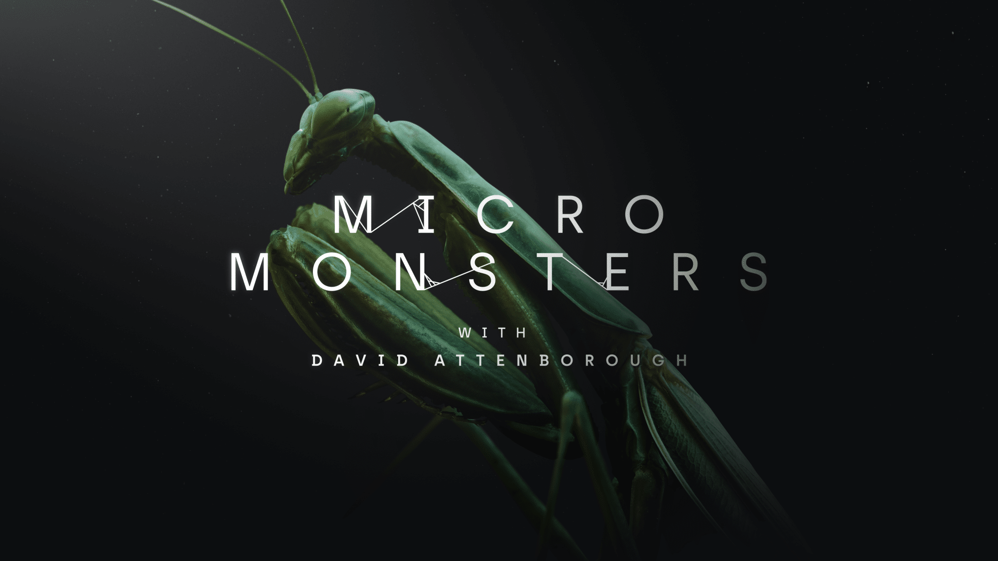 Micro Monsters David Attenborough Oculus Quest 