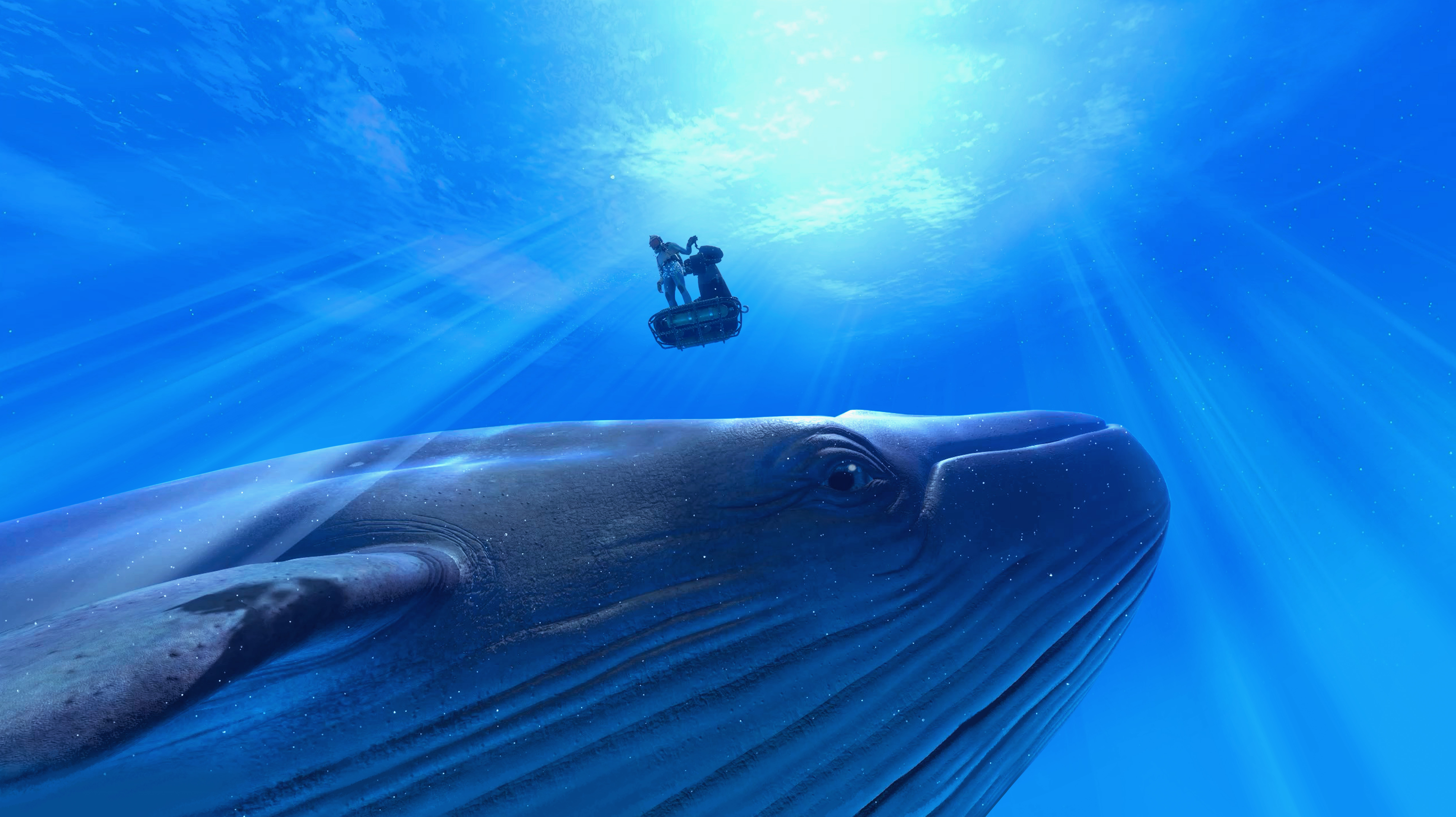 Dreamscape Blu Whale Scooter