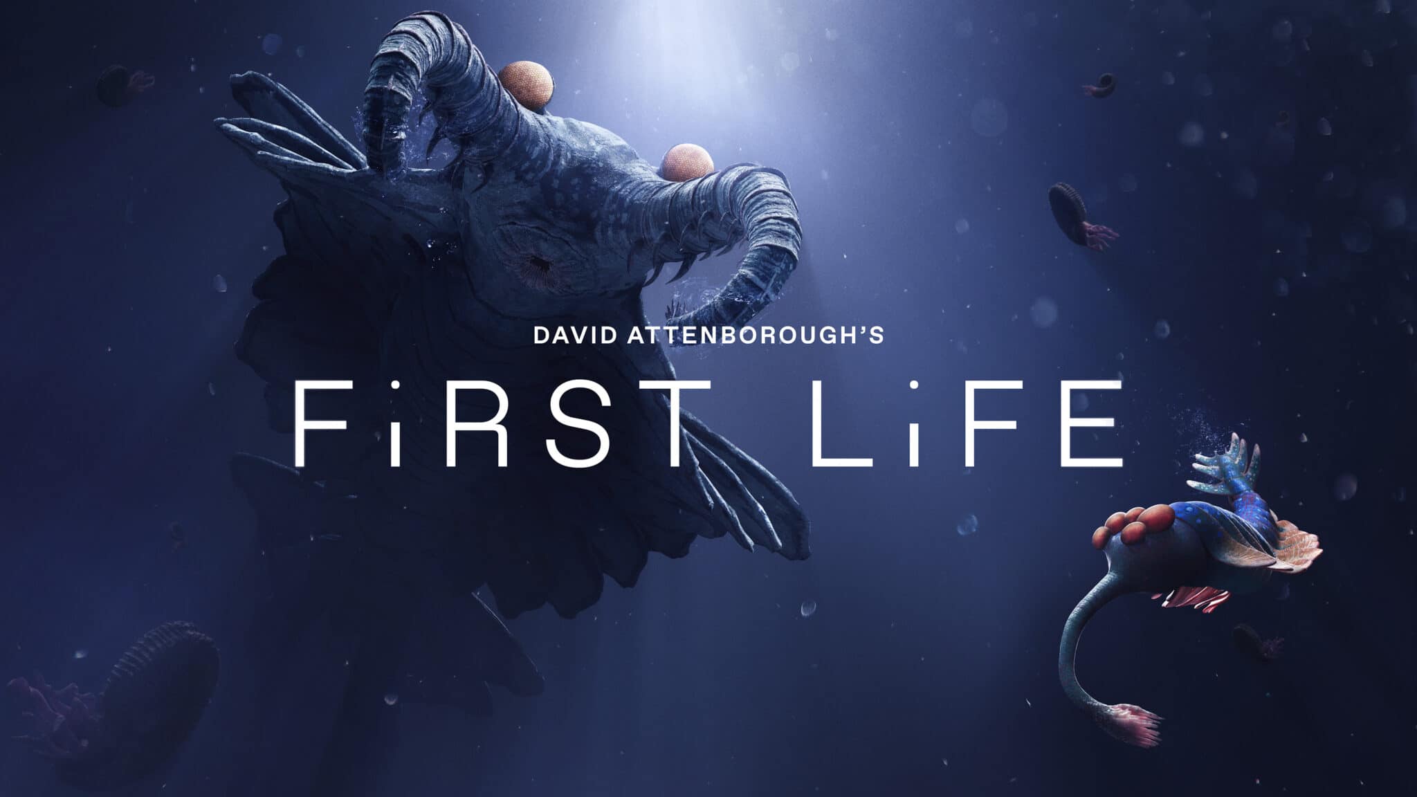 first Life 