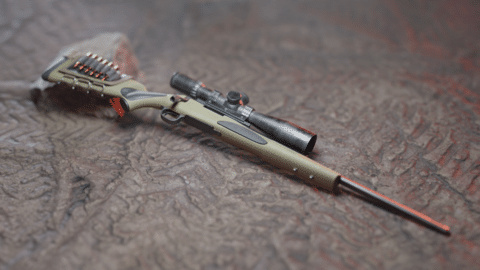 pavlov hunting rifle