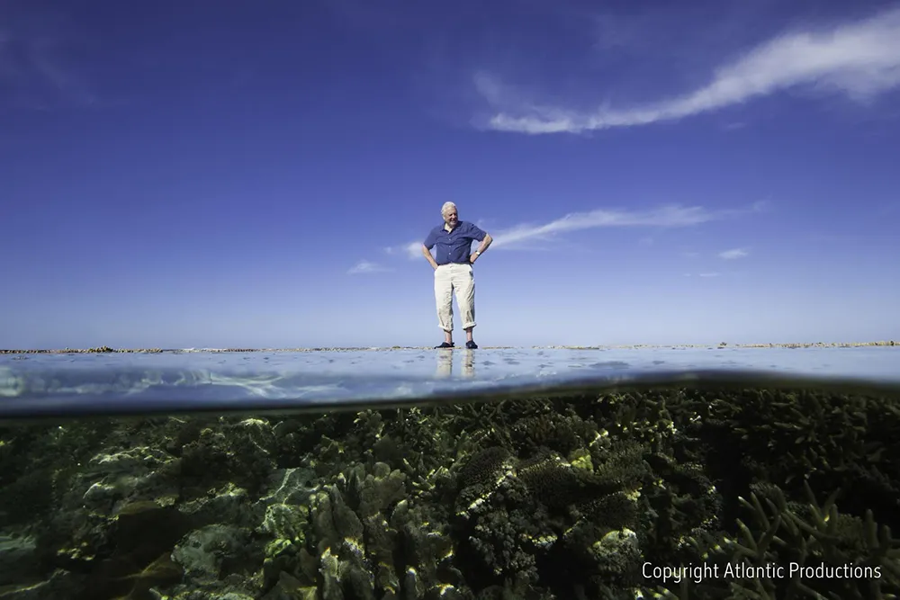 Great Barrier Reef Subject Of David Attenborough VR Documentary