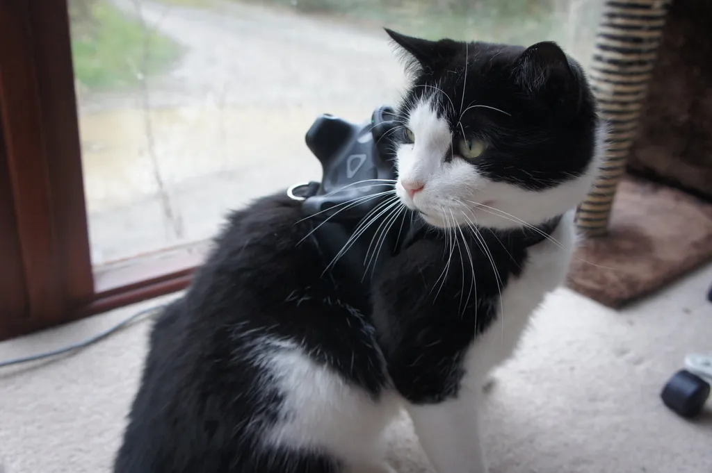 Vive Cat Tracker Video Shows Purrrfect Use Of New Add-On In Action