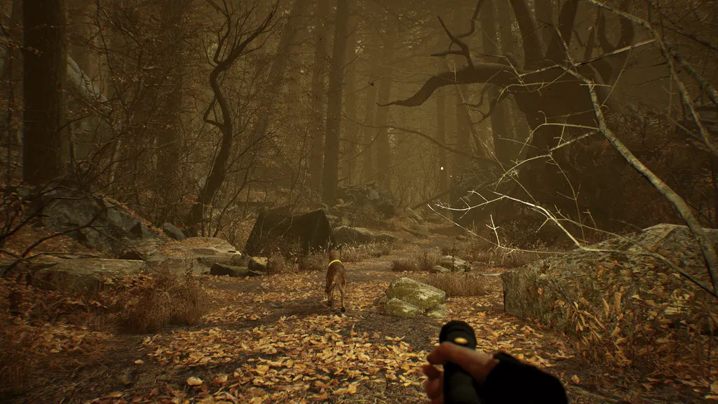 Blair Witch VR Surprise Launches On Rift Today, PSVR This Summer