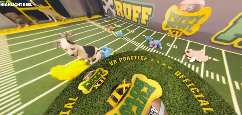 Get A Sneak Peak Of Puppy Bowl XII In VR