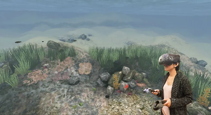 Stanford Researchers Give Us A Virtual Window Into Our Damaged Oceans