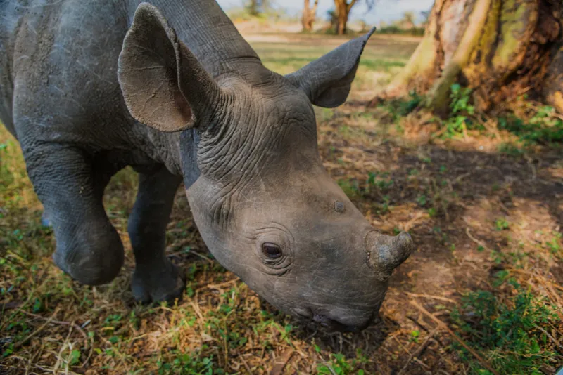 Virry VR Is PSVR's First Paid-For 360 Video