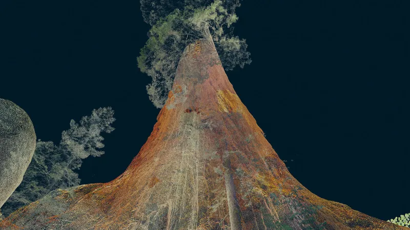 Touching the Future: The Importance of the Physical Realm in Virtual Reality