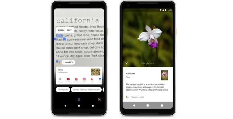 Google's Killer AR App Lens Gets Broader Roll Out