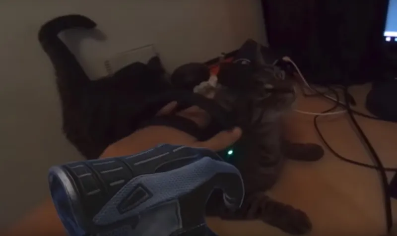 Dev Proves SteamVR's Knuckles Are Perfect For Petting Cats